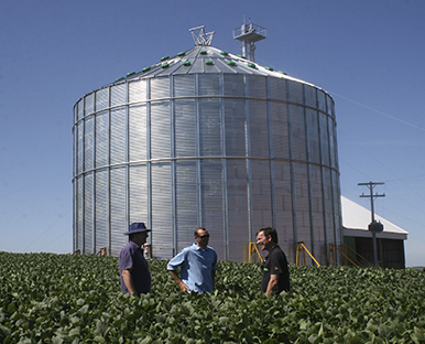 Treinamento e capacitação